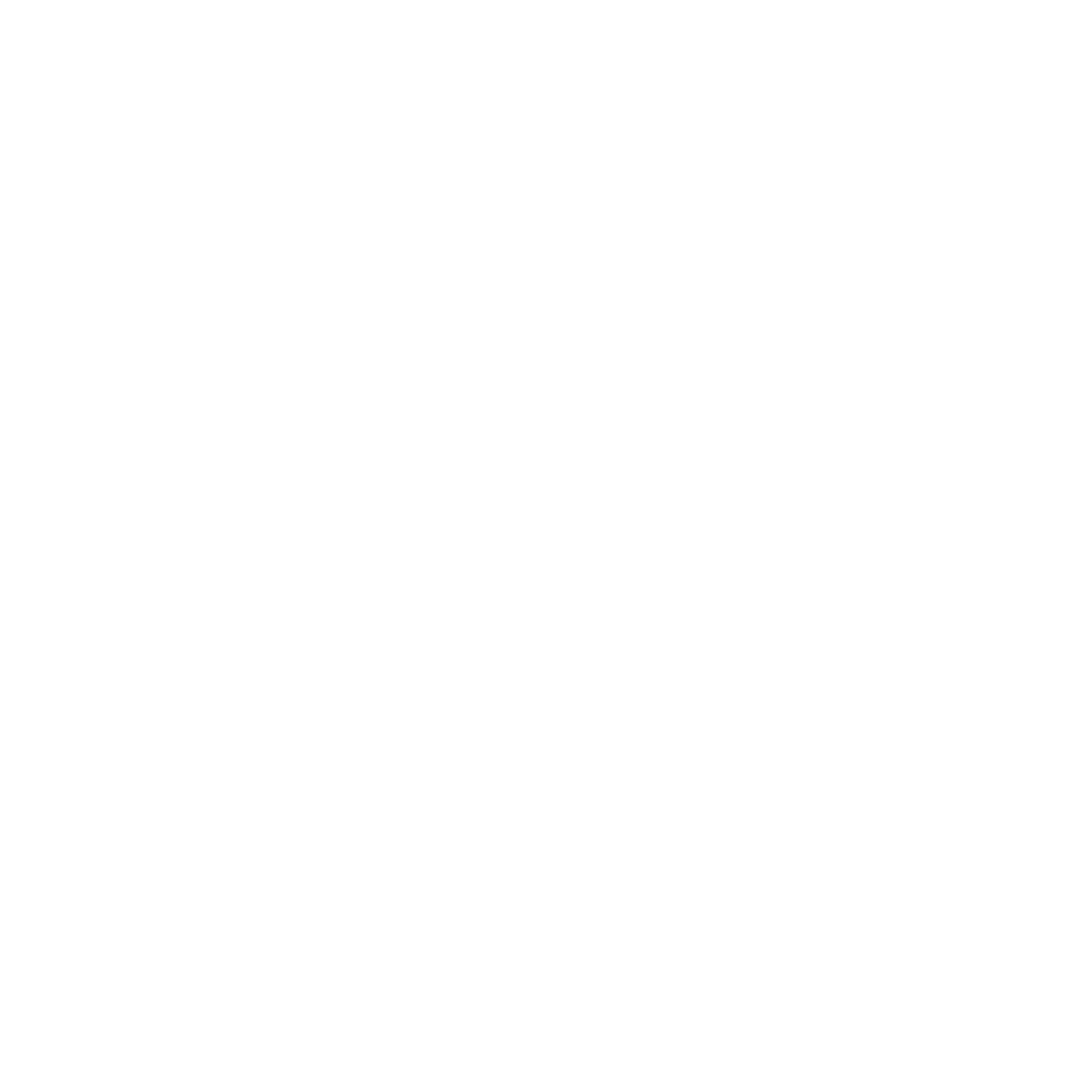 ANAMANA Records Squiggle (white) design